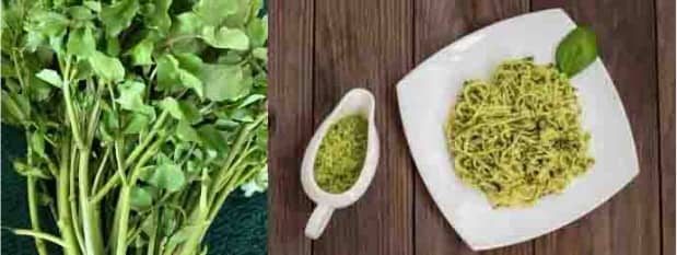 Le-pesto-de-cresson-pour-des-spaghettis