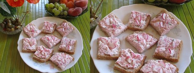 Tartinade chèvre et radis