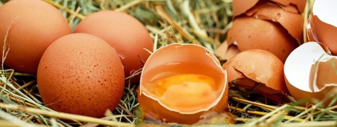 Le temps de cuisson des œufs